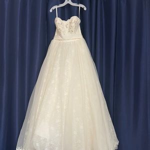 David’s Bridal shop Wedding Dress